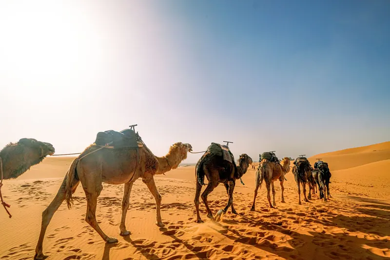 The camel and the eye of the needle: a gate that never was