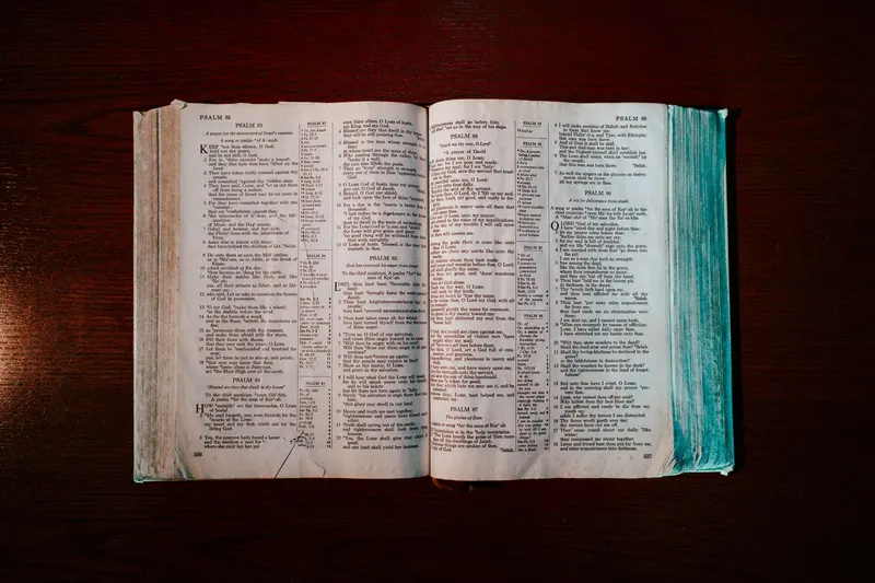 La Biblia que nadie te puede quitar