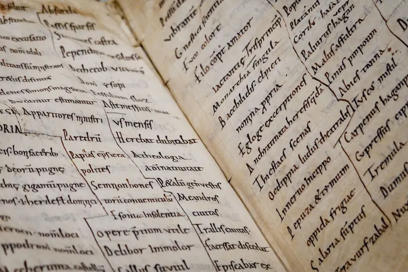 Did Constantine Invent the Bible? Not in 325