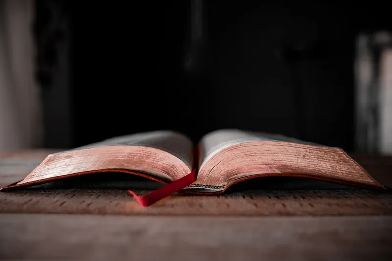 Bible in 5: Mark 4 — The Heart God Prepares
