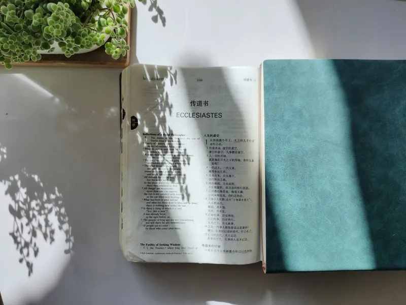 Is reading your horoscope a sin? What the Bible says