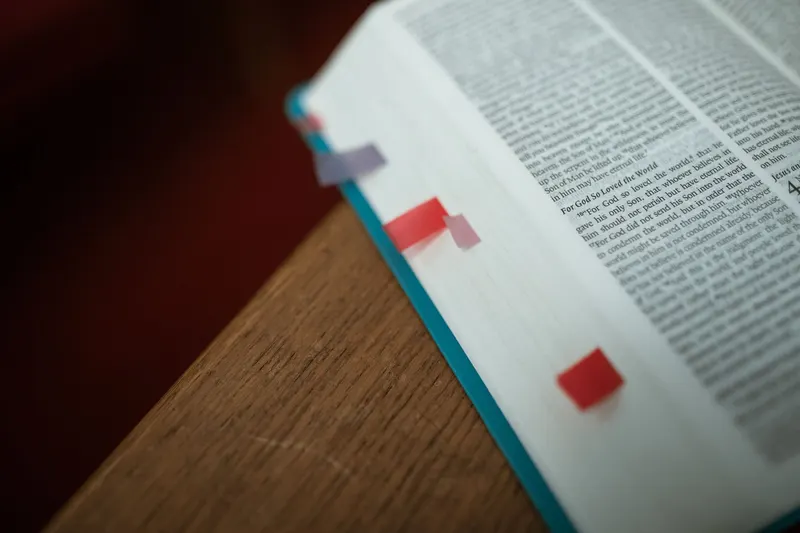 El Salmo 119 enseña cómo responder a la Palabra de Dios