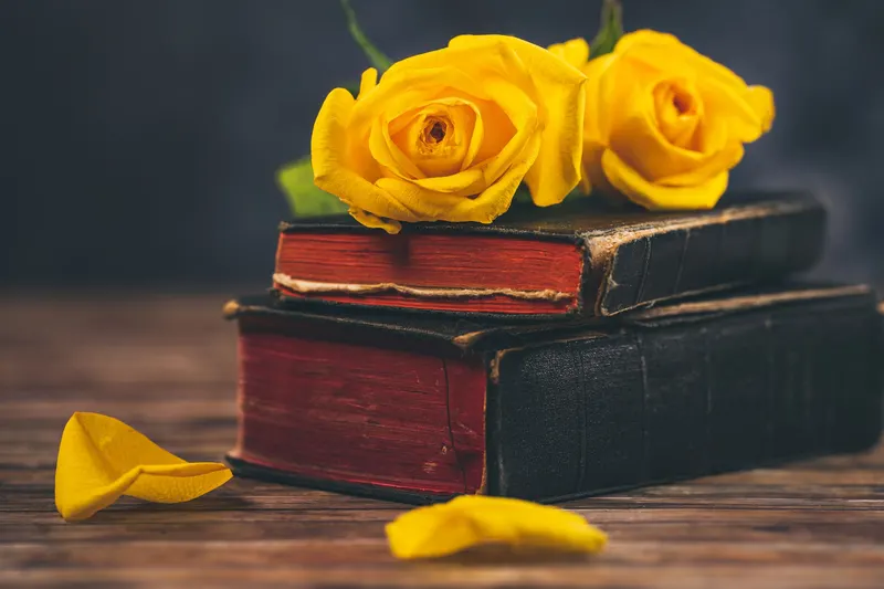 Chained Bibles: Why the Chain Wasn't Censorship